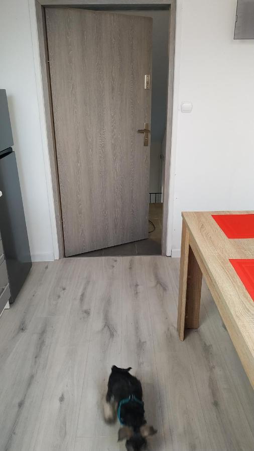 Apartament Witkacego Czerwony Slupsk Exterior photo